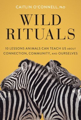 Caitlin O'Connell - Wild Rituals, Inbunden