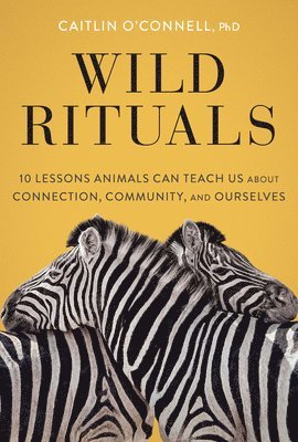 Wild Rituals 1