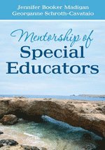 bokomslag Mentorship of Special Educators