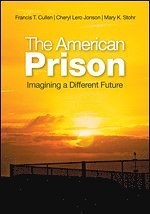 bokomslag The American Prison