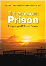 bokomslag The American Prison