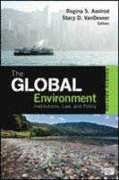 Regina S. Axelrod, Stacy D. VanDeveer - The Global Environment, Häftad