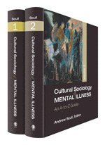 bokomslag Cultural Sociology of Mental Illness