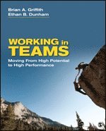 bokomslag Working in Teams