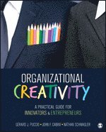 Gerard J. Puccio, John F. Cabra, Nathan Schwagler - Organizational Creativity, Häftad