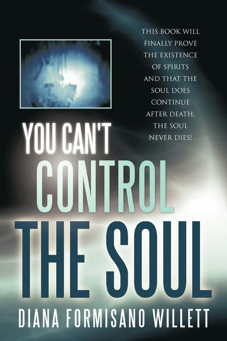 Diana Formisano Willett - You Can't Control the Soul, Häftad