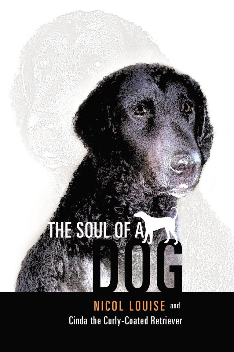 The Soul of a Dog 1