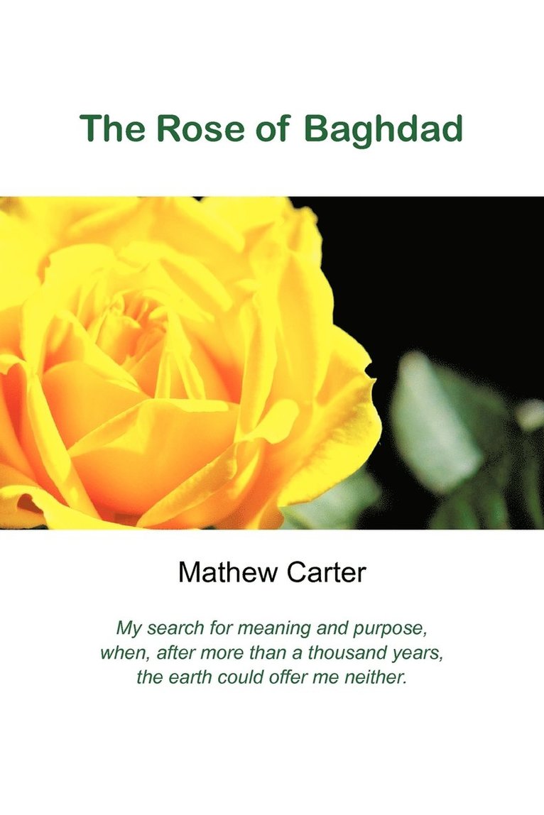 Mathew Carter - Rose of Baghdad, Häftad