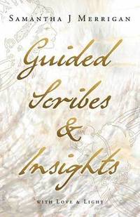 bokomslag Guided Scribes & Insights
