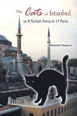 bokomslag Cats of Istanbul