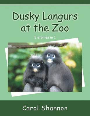 Dusky Langurs at the Zoo 1