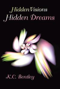 bokomslag Hidden Visions / Hidden Dreams