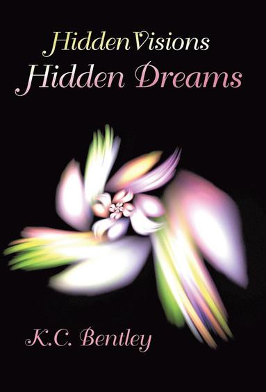 bokomslag Hidden Visions / Hidden Dreams