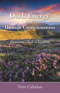 bokomslag Dark Energy and Human Consciousness