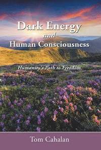 bokomslag Dark Energy and Human Consciousness