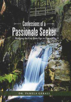 bokomslag Confessions of a Passionate Seeker