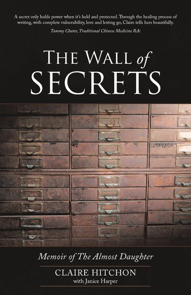 bokomslag The Wall of Secrets