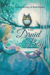 bokomslag The Druid Boy
