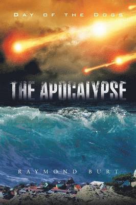 Raymond Burt - Apocalypse, Häftad
