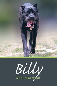 bokomslag Billy