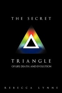bokomslag The Secret Triangle