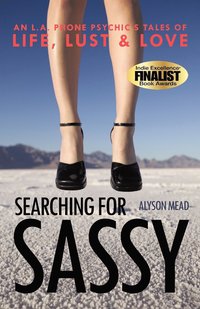 bokomslag Searching for Sassy