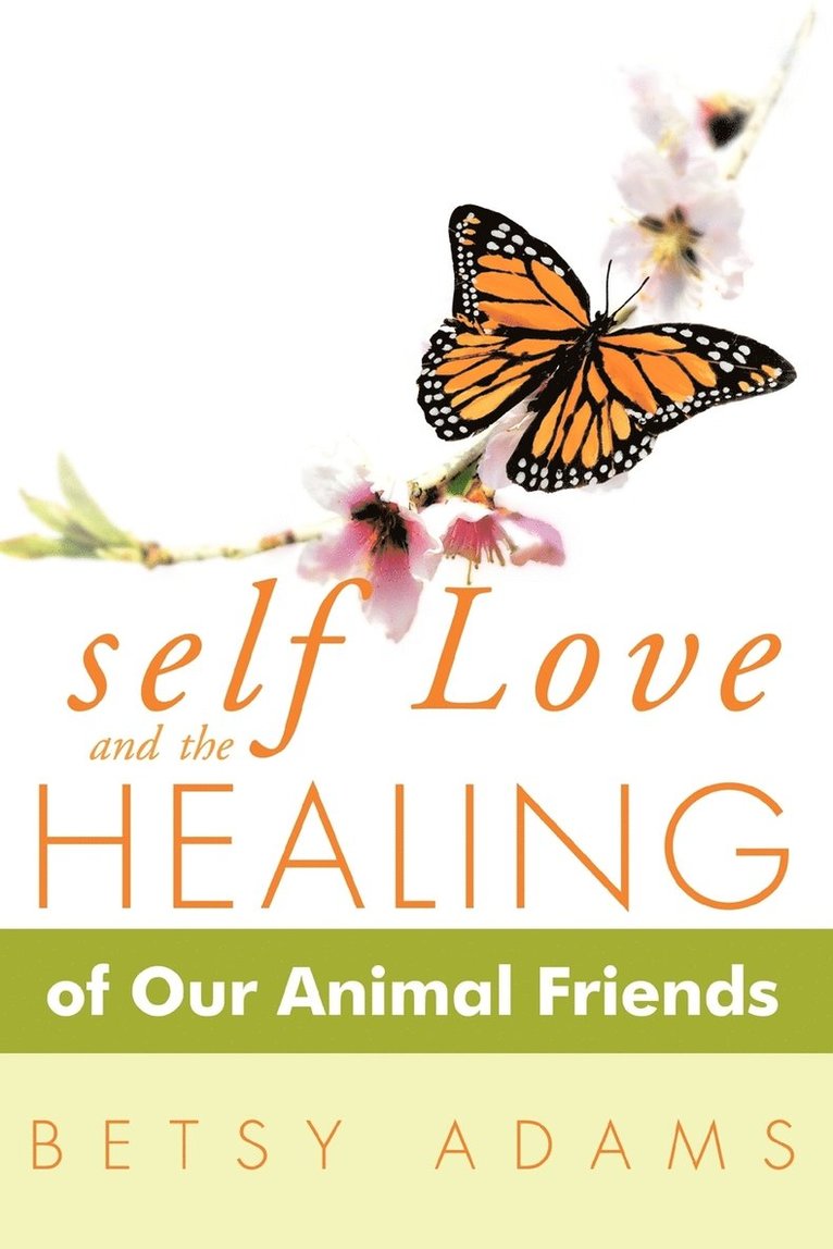 Self Love and the Healing of Our Animal Friends 1