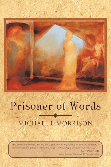 bokomslag Prisoner of Words