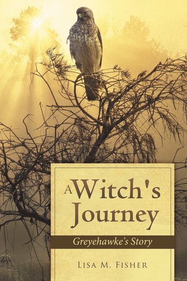 bokomslag Witch's Journey