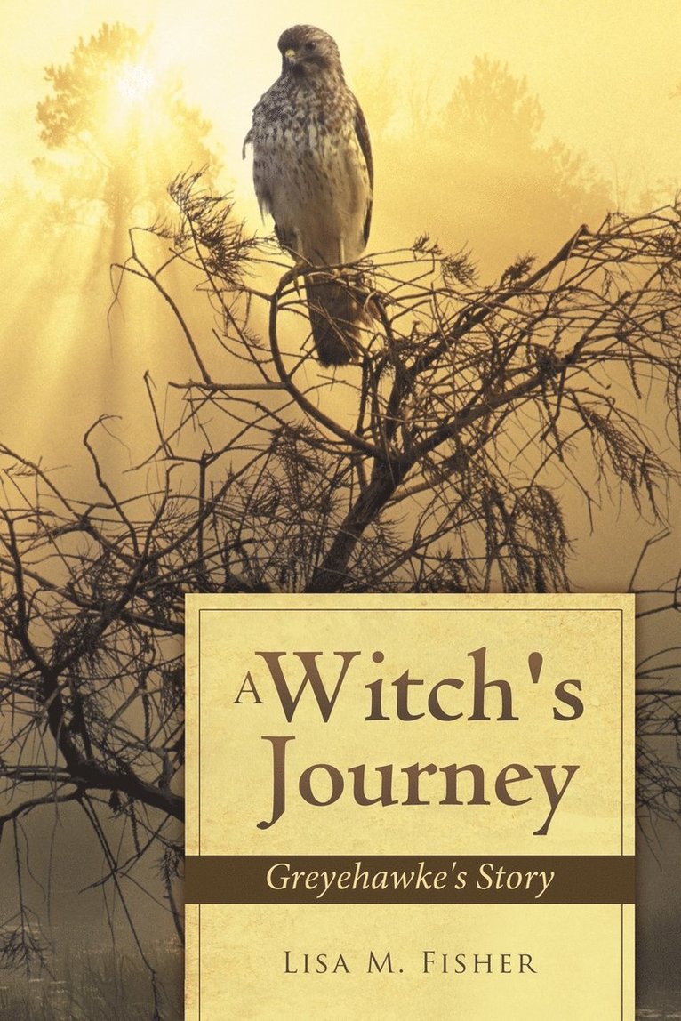 Lisa M Fisher, Lisa M. Fisher - Witch's Journey, Häftad