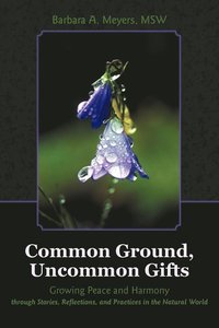 bokomslag Common Ground, Uncommon Gifts