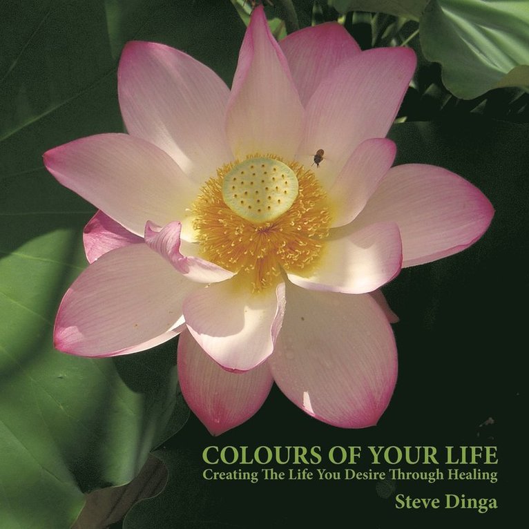 Colours of Your Life 1