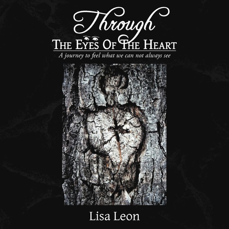 Through The Eyes Of The Heart 1