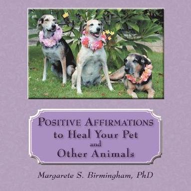 bokomslag Positive Affirmations to Heal Your Pet and Other Animals