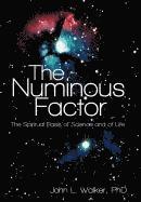 bokomslag Numinous Factor