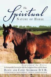 bokomslag The Spiritual Nature of Horse Explained by Horse