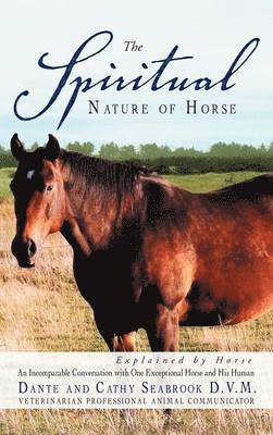 The Spiritual Nature of Horse Explained by Horse 1