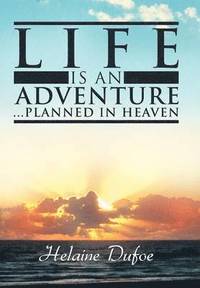 bokomslag Life Is an Adventure ... Planned in Heaven