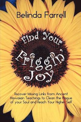 bokomslag Find Your Friggin' Joy