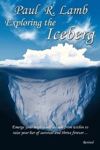 bokomslag Exploring the Iceberg