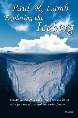 Exploring the Iceberg 1