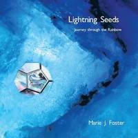 bokomslag Lightning Seeds