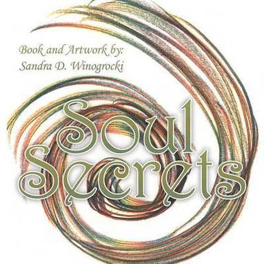 bokomslag Soul Secrets