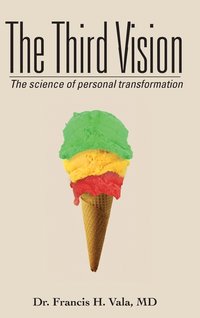bokomslag The Third Vision
