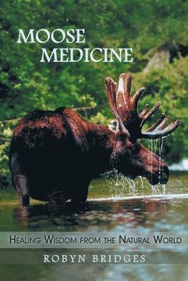 bokomslag Moose Medicine