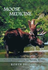 bokomslag Moose Medicine