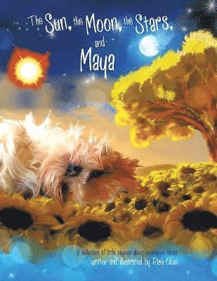 Sun, the Moon, the Stars and Maya 1