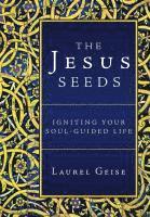 bokomslag The Jesus Seeds