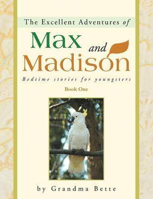 bokomslag The Excellent Adventures of Max and Madison