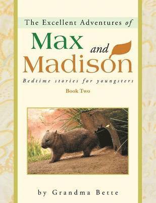 bokomslag Excellent Adventures of Max and Madison